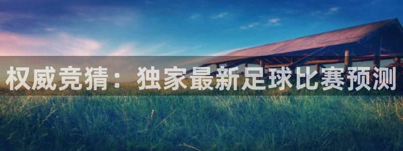 蚂蚁体育是杂牌还是名牌：权威竞猜：独家最新足球比赛预测