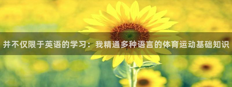 蚂蚁体育网页版登录