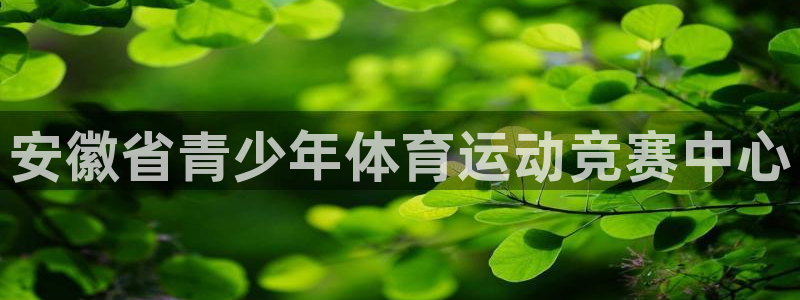 蚂蚁体育是杂牌还是名牌：安徽省青少年体育运动竞赛中心