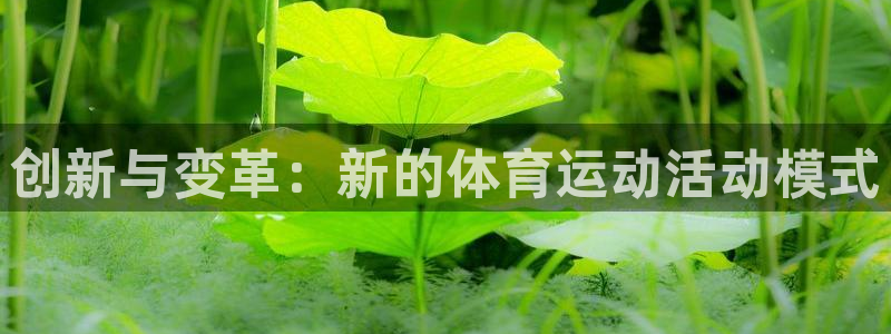 蚂蚁体育篮球