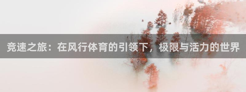 蚂蚁体育看球下载最新版本安装：竞速之旅：在风行体育的引领下，极限与活力的世界