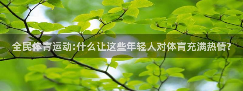 蚂蚁体育网店是正品吗：全民体育运动:什么让这些年轻人对体育充满热情?