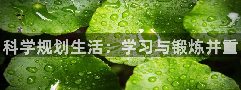 蚂蚁体育是正规平台吗：科学规划生活：学习与锻炼并重