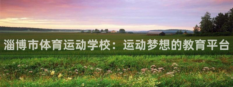 蚂蚁体育