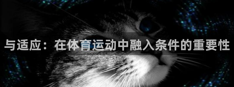 蚂蚁体育买的是正品吗
