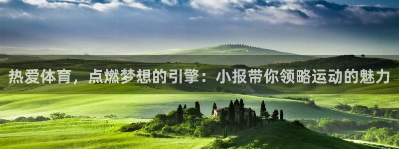 蚂蚁体育在线观看