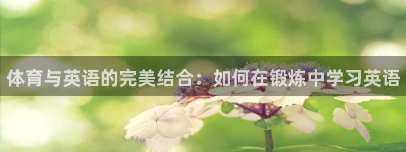 蚂蚁体育要钱吗