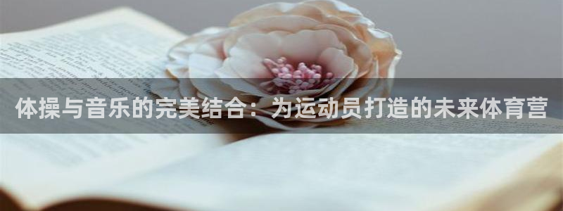 蚂蚁体育是杂牌还是名牌：体操与音乐的完美结合：为运动员打造的未来体育营